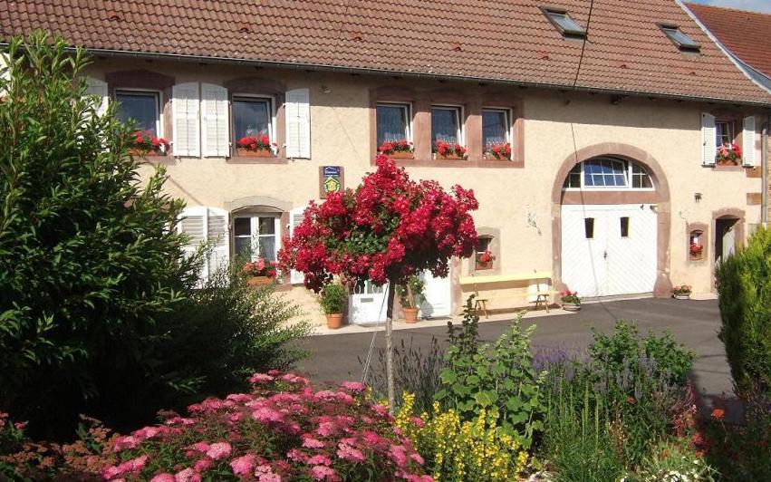 Chambre D'Hote Au Grenier D'Abondance Niderviller Exteriör bild